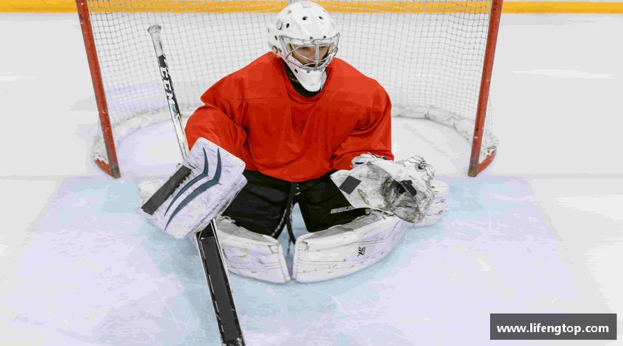 发现金年会首页